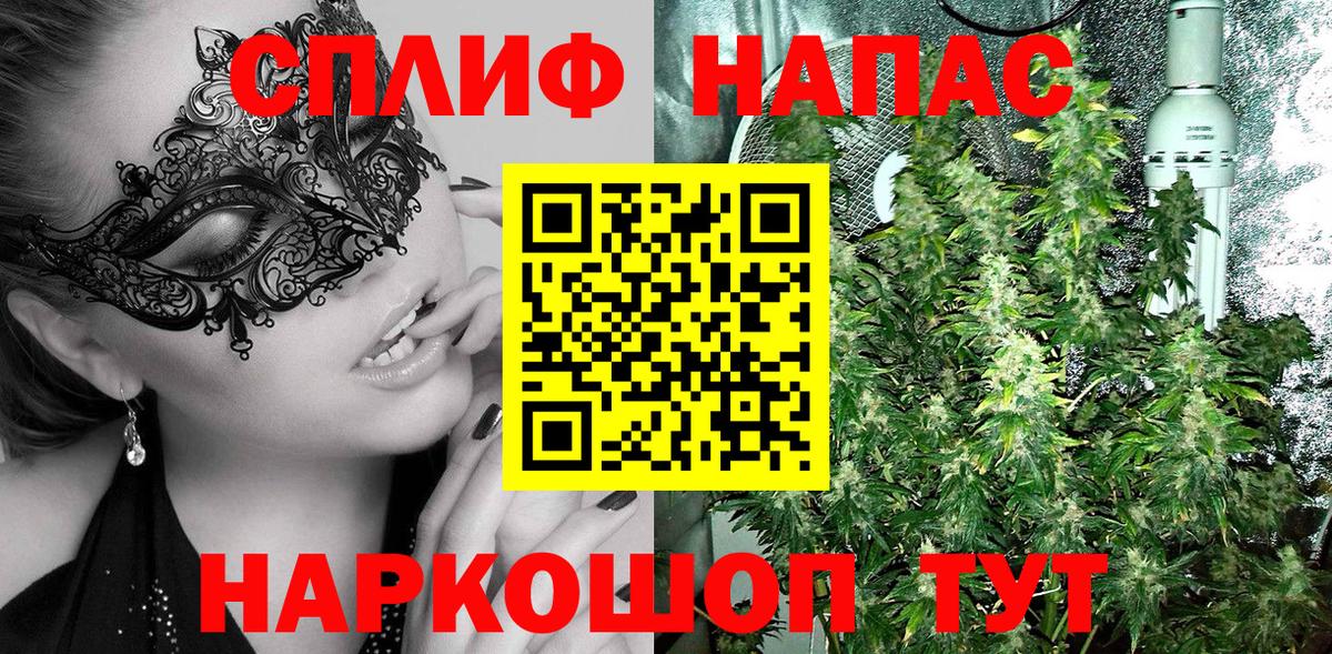 Конопля конопля  Канабис гибрид  Гуково  Конопля индика  Вход с VPN 